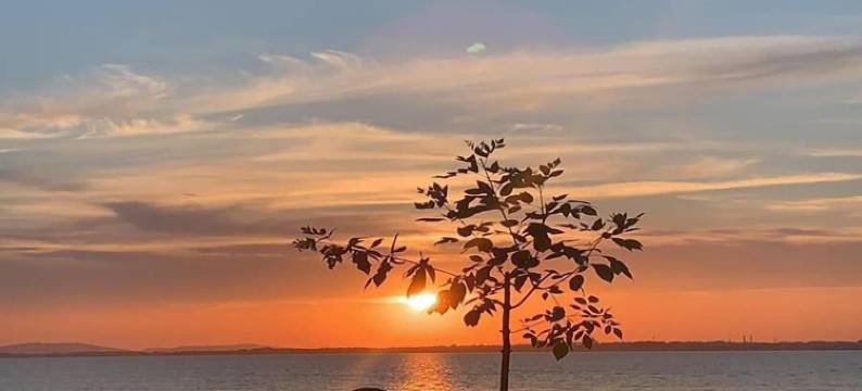 天堂岛酒店(PARADISE ISLAND HOTEL)图片