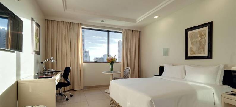 卡斯特罗公园酒店(Castro's Park Hotel)图片