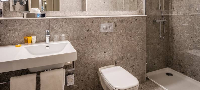 Holiday Inn 布鲁塞尔机场假日酒店(Holiday Inn BRUSSELS AIRPORT by IHG)图片