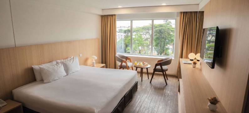 利马米拉弗洛雷斯温德姆Dazzler(Dazzler by Wyndham Lima Miraflores)图片