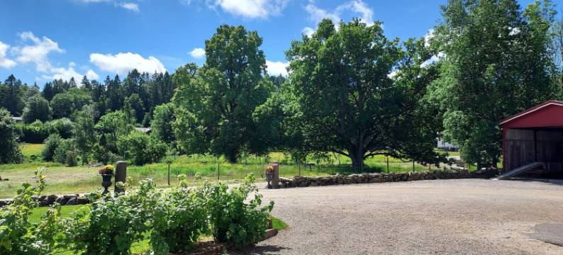 阿里芭利娅住宿加早餐旅馆(Älgbergets Bed & Breakfast)图片