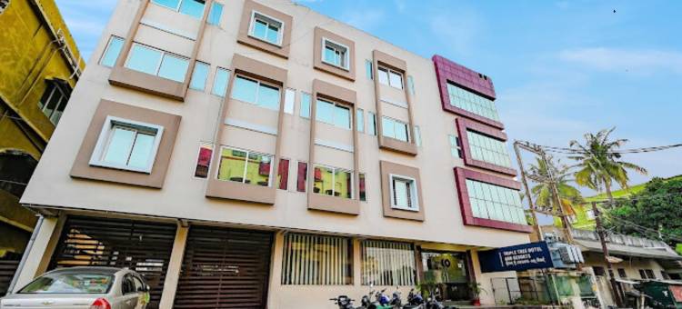 三树酒店和度假村(Triple Tree Hotels and Resorts)图片