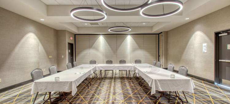 阿普尔顿威斯康星假日酒店(Holiday Inn Appleton)图片