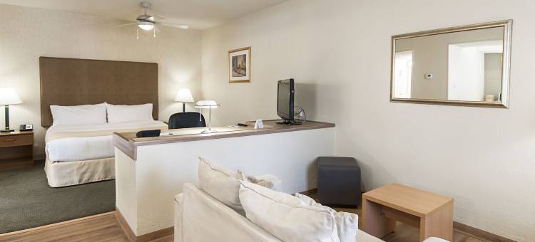 Holiday Inn & Suites 奇瓦瓦(Holiday Inn & Suites CHIHUAHUA EXPO by IHG)图片