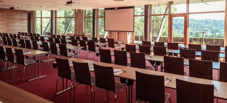 施泰格斯巴赫福肯斯坦巴郎斯度假酒店(Falkensteiner Balance Resort Stegersbach - Adults Only)图片