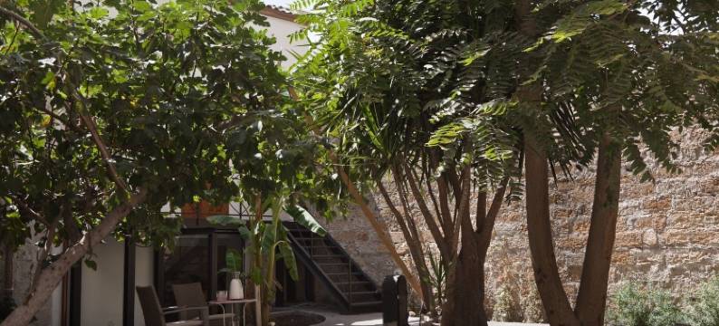 吉阿迪诺迪巴拉洛民宿(Il Giardino di Ballarò Boutique B&B)图片