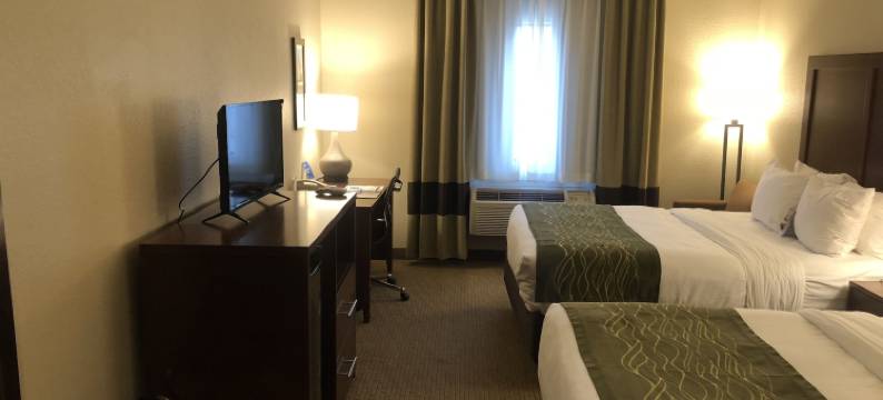 厄尔利布朗伍德舒适酒店(Comfort Inn Early Brownwood)图片