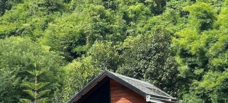 考艾特色山谷营地(The Signature Valley Khao-Yai Campus)图片