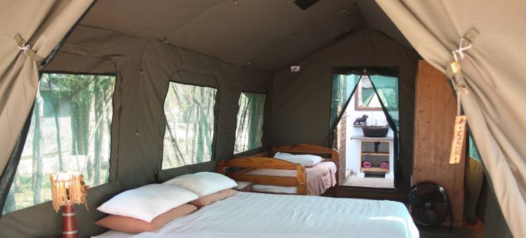 疣猪野生动物园营地旅馆(Warthogs Safari Camp)图片