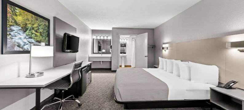 凯艺套房酒店-多雷伍道(Quality Inn & Suites at Dollywood Lane)图片