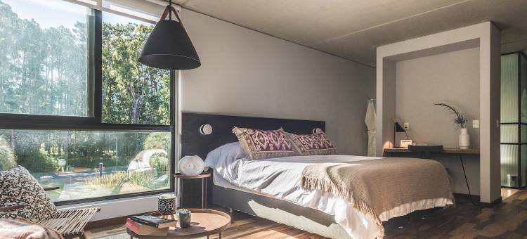 Be House 套房和水疗(Be House Suites & Spa)图片