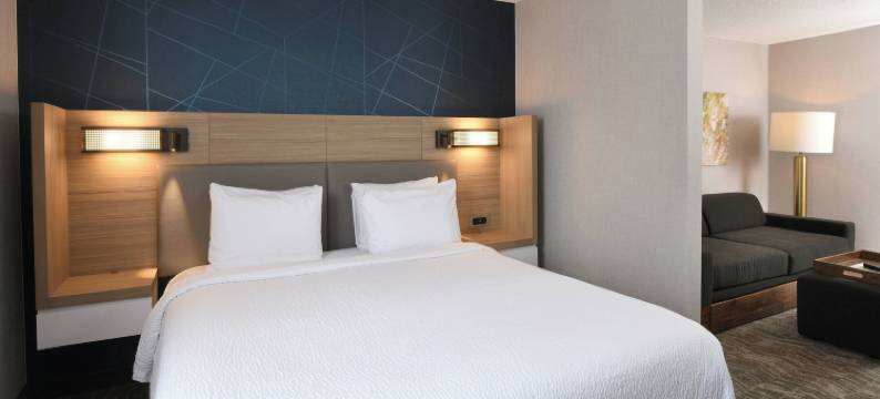 西德梅茵万豪SpringHill酒店(SpringHill Suites des Moines West)图片