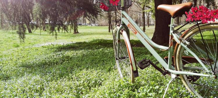 瑞吉欧.艾米里亚经典贝斯特韦斯特酒店(Best Western Classic Hotel)图片