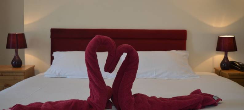 全球酒店(Globe Hotel)图片