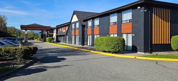 舒适酒店(Comfort Inn)图片