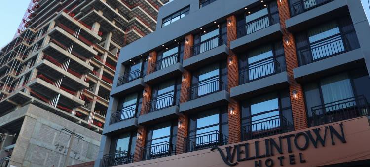 威灵顿酒店(Hotel Wellintown)图片