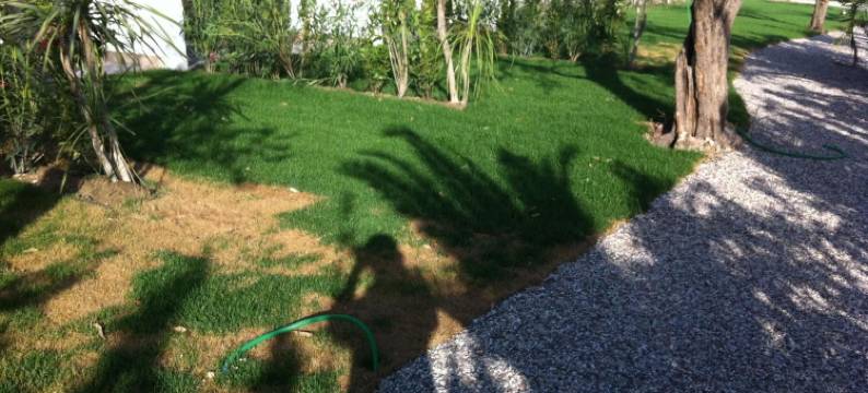 欧洲议会酒店(Eurocongressi Hotel)图片