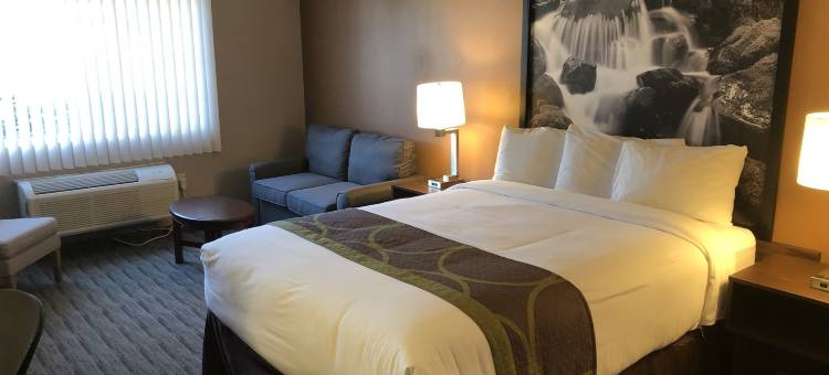 林伍德温德姆速8酒店(Super 8 by Wyndham Lynnwood)图片