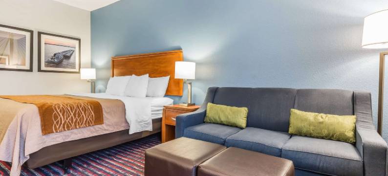 奥尔顿I-255附近舒适酒店(Comfort Inn Alton near I-255)图片