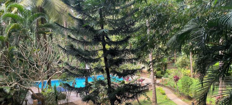 位于帕特尼的1卧室公寓-平方米|带1个独立浴室(Tranquil Stay, Garden Estate - Palolem 1BHK Flat)图片