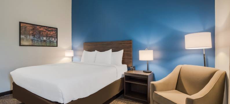 萨尔弗温德姆拉昆塔套房酒店(La Quinta Inn & Suites by Wyndham Sulphur (Lake Charles))图片