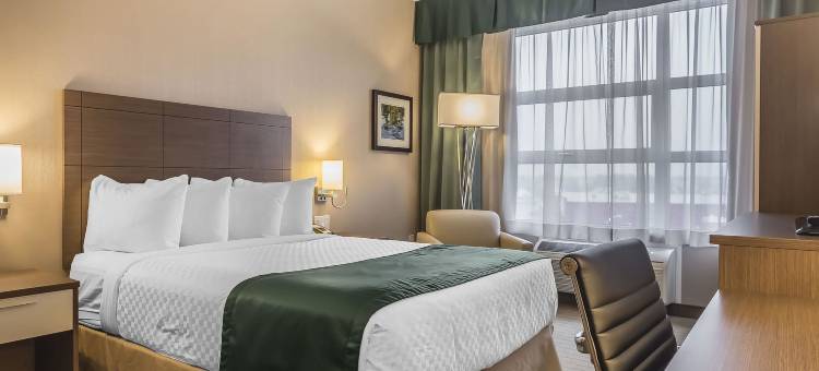 凯艺酒店(Quality Inn Sept-Iles)图片