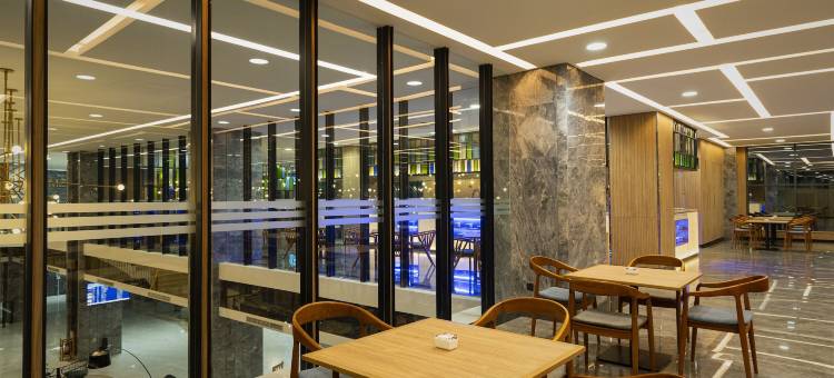 安那拉机场酒店(Anara Airport Hotel)图片