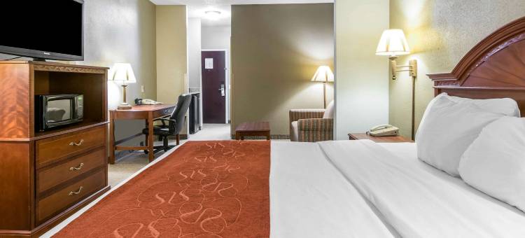 舒适套房酒店(Comfort Suites)图片