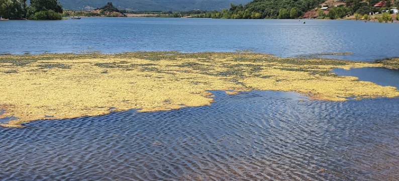 苏菲庄园酒店(A la Maison de Sophie)图片
