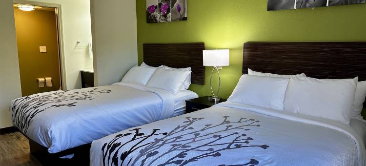 萨凡纳高速公路 I-95 舒眠酒店(Sleep Inn Savannah Gateway I-95)图片