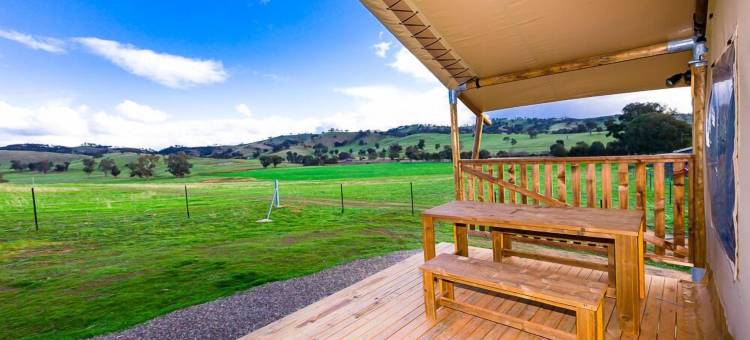 山景农家乐(Hillview Farmstay)图片