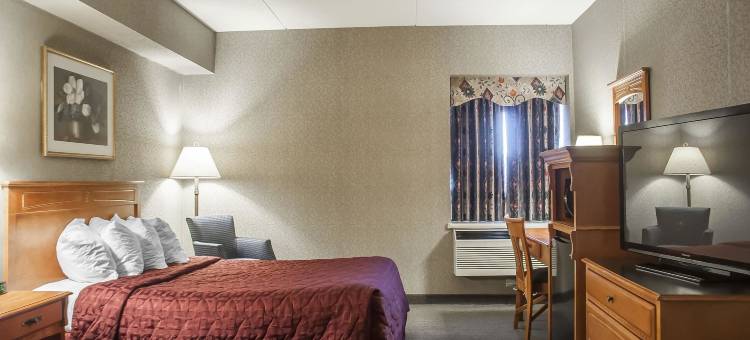 舒适酒店-伦迪巷(Comfort Inn Lundy's Lane)图片