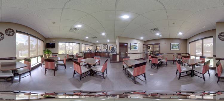 米德威-西塔拉哈西舒适套房酒店(Comfort Inn & Suites Midway - Tallahassee West)图片