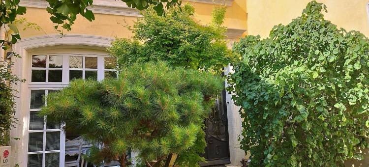 恩特雷维涅当泰勒斯旅馆(Entre Vignes et Dentelles)图片