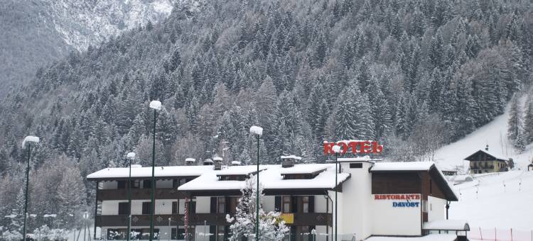 达沃斯酒店(Hotel Davost)图片