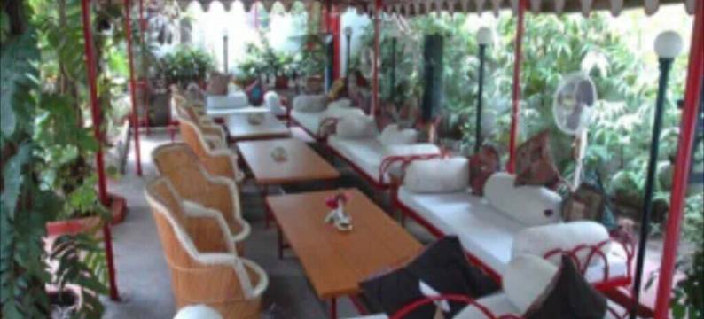 霍华德的拉吉皇宫酒店(Hotel Raj Palace by Howard)图片