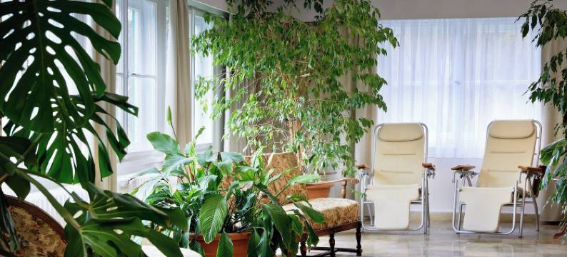 黑尔巴德波维斯酒店(Pension Heilbad Burgwies)图片