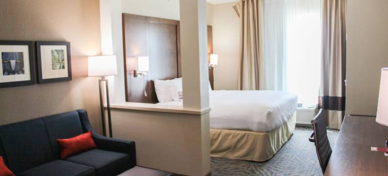 南奥斯汀舒适套房酒店(Comfort Suites - South Austin)图片