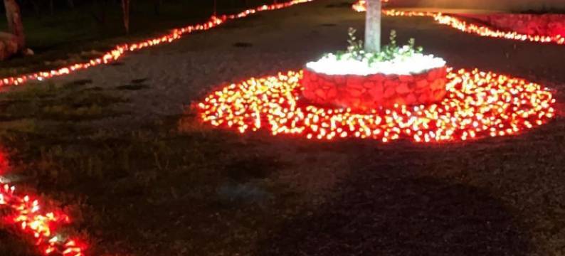 莫迪农庄酒店(Barone GR Macrì Agriturismo Modi)图片