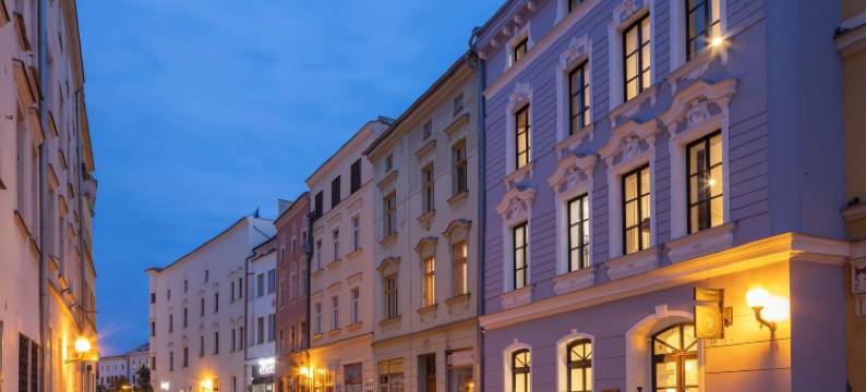 萨沃斯基酒店(Hotel Savorsky)图片