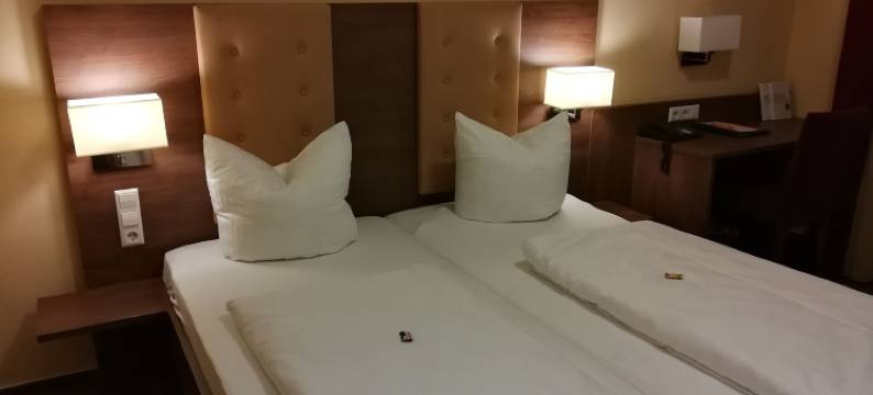 欧罗帕肯赫酒店(Europa Kehl Hotel)图片