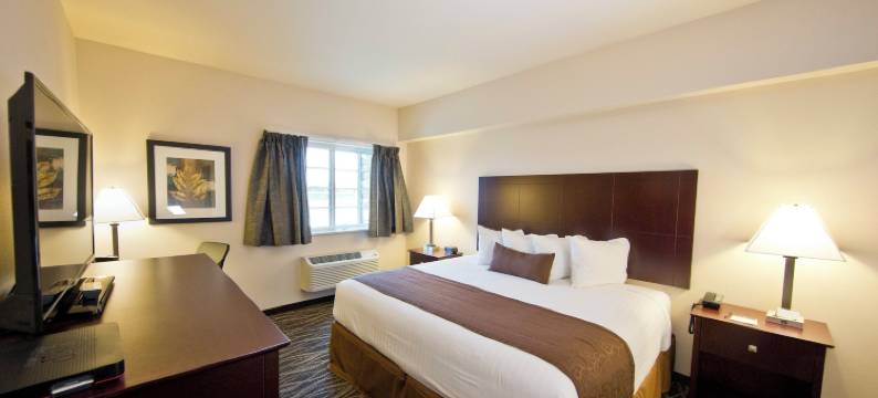 鹅卵石套房酒店 - 波尼(Cobblestone Inn & Suites - Boone)图片