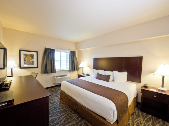 鹅卵石套房酒店 - 波尼