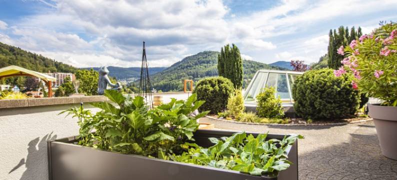 黑森林全景酒店(Schwarzwald Panorama)图片