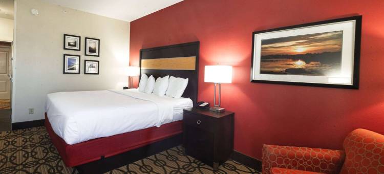 斯塔克维尔密歇根州立大学拉昆塔温德姆套房酒店(La Quinta Inn & Suites by Wyndham Starkville at MSU)图片