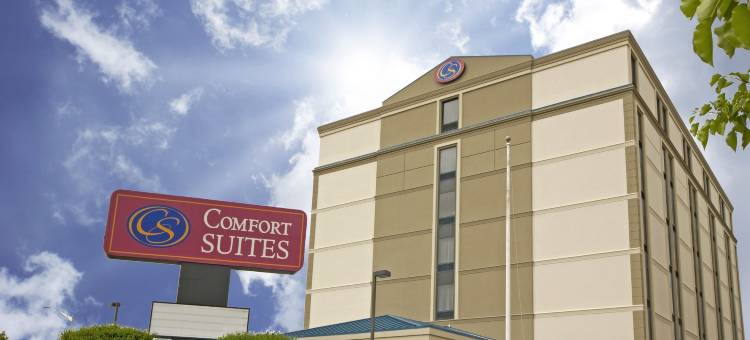 伍德布里奇舒适套房(Comfort Suites at Woodbridge)图片
