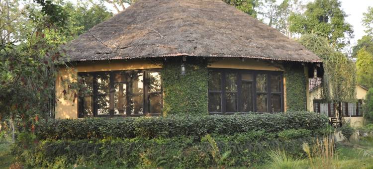 莱诺巴尔迪亚旅馆(Rhino Lodge Bardia Pvt Ltd)图片