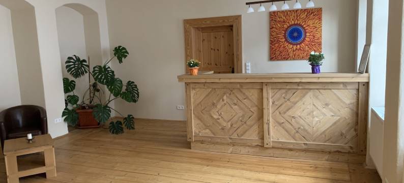 戈德尼尔洛威酒店(Hotel Goldner Löwe)图片