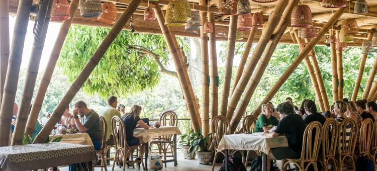 武吉拉旺经济小屋(Ecolodge Bukit Lawang - Hotel&Jungletrek)图片