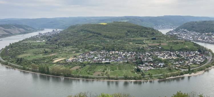 米特莱因豪斯酒店(Haus Mittelrhein)图片